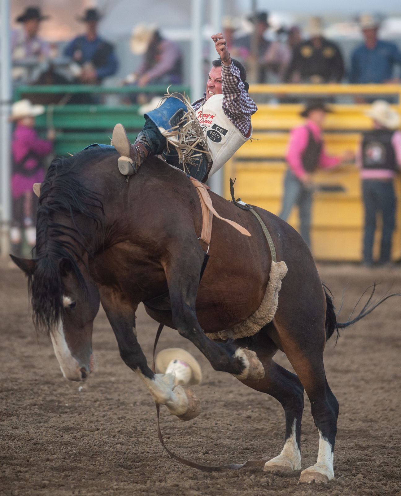 Magic Valley Stampede full of thrills